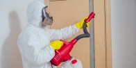 Behandlung von Bettwanzen in Bezirk Altona 20257
